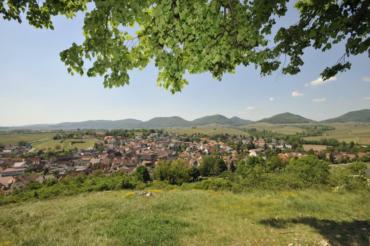 ホテル Wein-Domizil Brennofen Ilbesheim bei Landau in der Pfalz エクステリア 写真